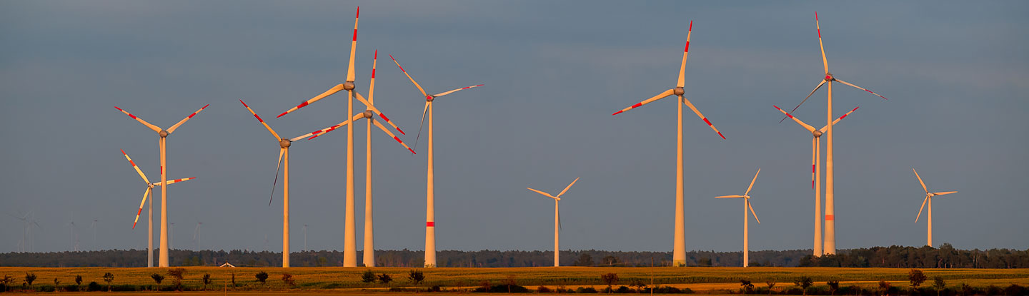 Das Foto zeigt einen Windpark mit 12 Anlagen in der Gemeinde Niederer Fläming, Ortsteil Hohengörsdorf. Im Vordergrund auf einem Feld stehen die Windkraftanlagen, im Hintergrund ist eine Waldkante und Himmel zu sehen.